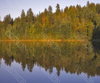 Reflections of autumn.