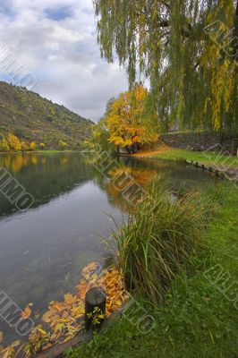 Autumn leaves in cold water.
