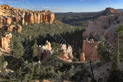 Wood and rocks.