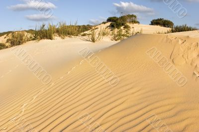 Sandy waves.