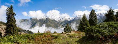 Fog after rain in mountain, panorama