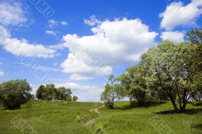 Rural road at summer