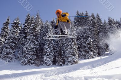 Snow Skier