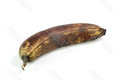 Brown Banana