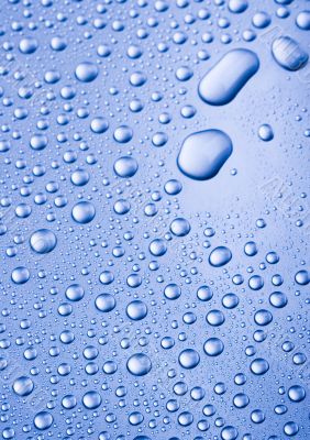 Fresh & Wet