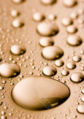 Fresh & Wet