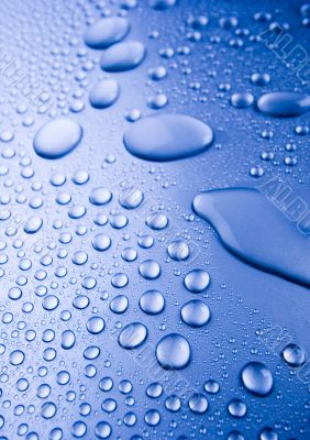 Fresh & Wet