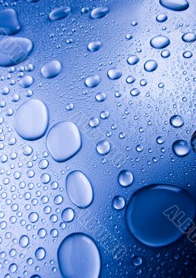 Fresh & Wet