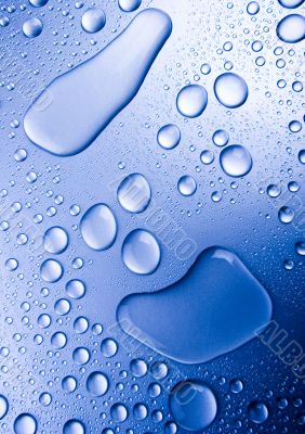 Fresh & Wet