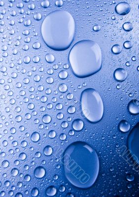 Fresh & Wet