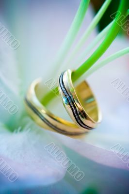 Two wedding rings on a flower