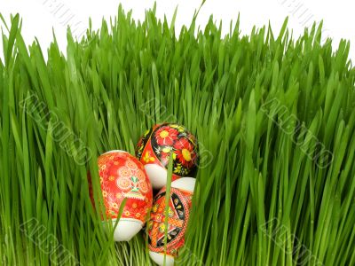 Easter eggs in the grass on a white
