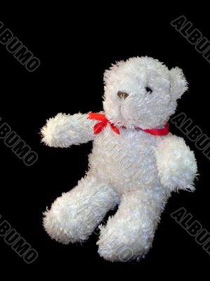 white bear