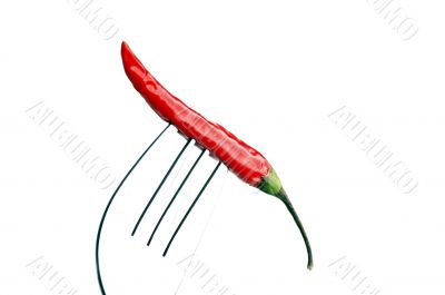 red chili pepper on a fork