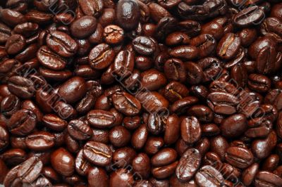 coffee beans