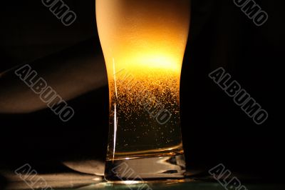 Beer on dark