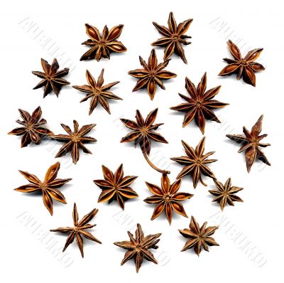 anise star