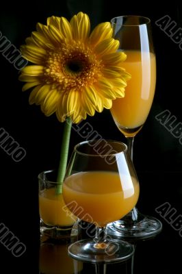 Yellow gerbera and wineglasses with juice