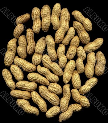 peanuts
