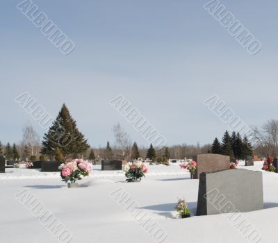 Winter Graveyard