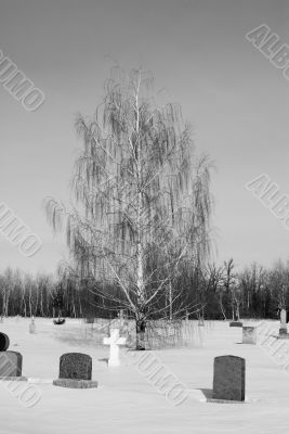 Cemetery