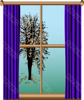 View from the window