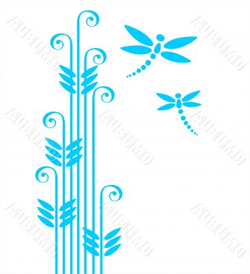 grass and dragonflies