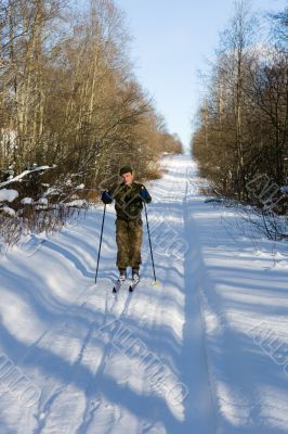 Throw the winter forest