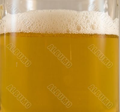 Beer head