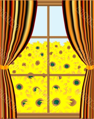 View from the window