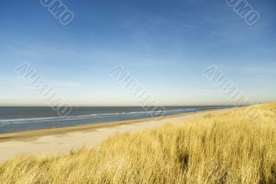 empty beach