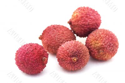 Lychees on white.