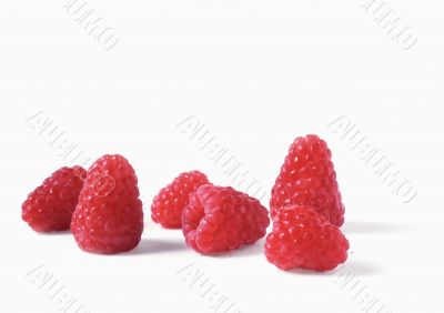 Red raspberries