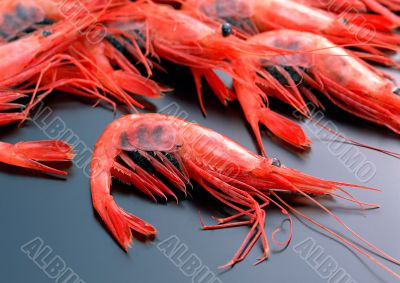 Tasty prawns