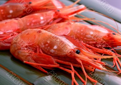 Tasty prawns