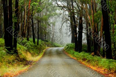 Misty Mountain Road