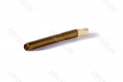cigar