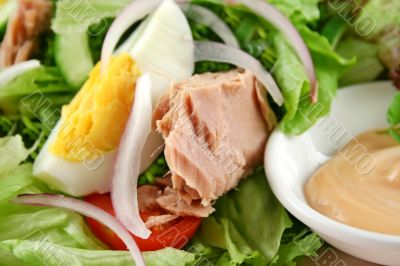 Egg And Tuna Salad