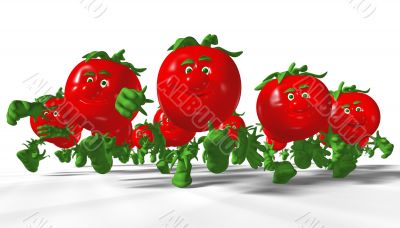 Running tomatoes.