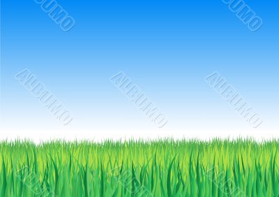 Vector high grass