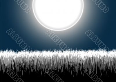 Night grass moon vector