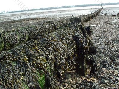 Waste pipes
