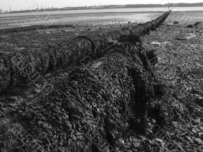 waste pipes