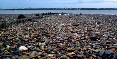 Shingle beach