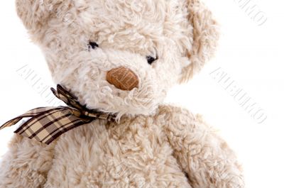 Brown teddy bear