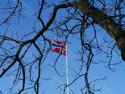 flag and branches