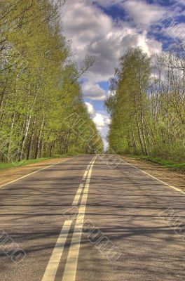 Road along a wood