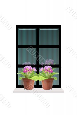 Springtime Window