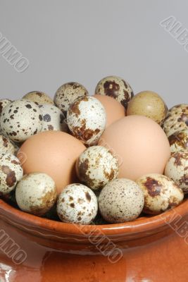 Eggs