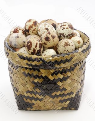 The quail`s eggs in basket